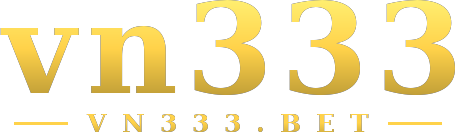 vn333 logo